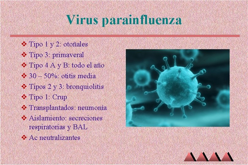 Virus parainfluenza v Tipo 1 y 2: otoñales v Tipo 3: primaveral v Tipo