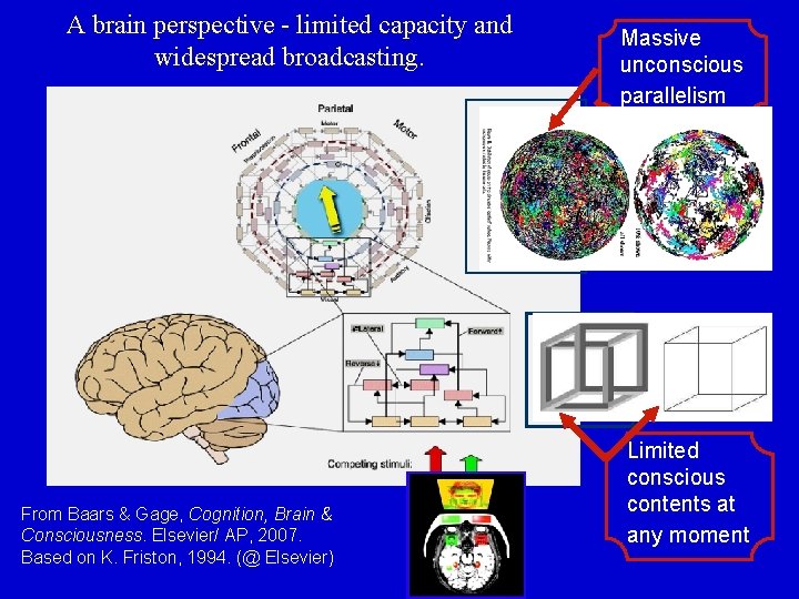 Do brain rhythms underlie s conscious and unconscious