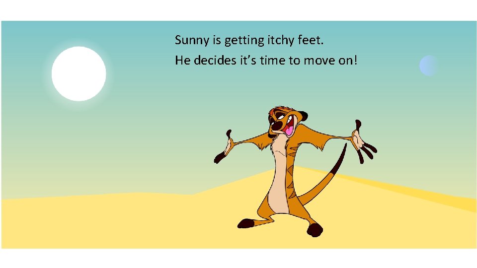 Sunny is getting itchy feet. He decides it’s time to move on! 