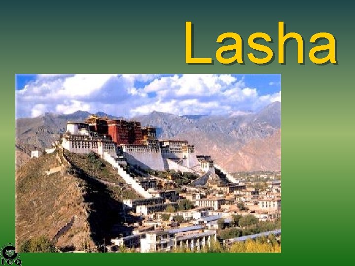 Lasha 