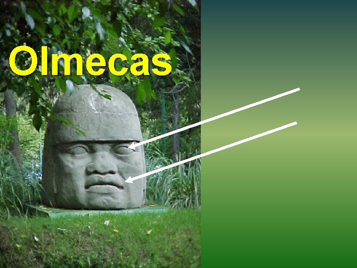 Olmecas 
