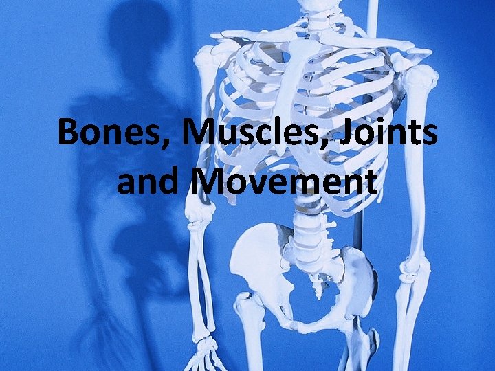 Bones, Muscles, Joints and Movement 