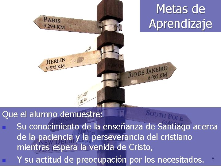 Metas de Aprendizaje Que el alumno demuestre: n Su conocimiento de la enseñanza de Metas de Aprendizaje Que el alumno demuestre: n Su conocimiento de la enseñanza de