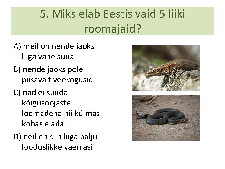 5. Miks elab Eestis vaid 5 liiki roomajaid? A) meil on nende jaoks liiga