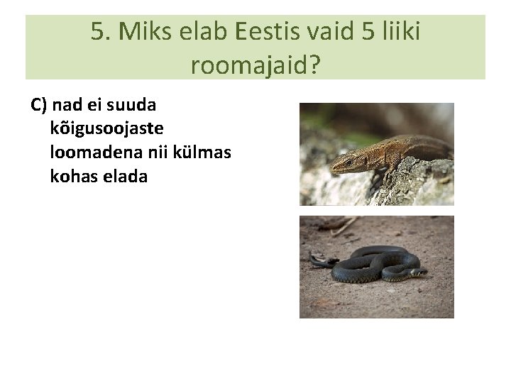 5. Miks elab Eestis vaid 5 liiki roomajaid? C) nad ei suuda kõigusoojaste loomadena