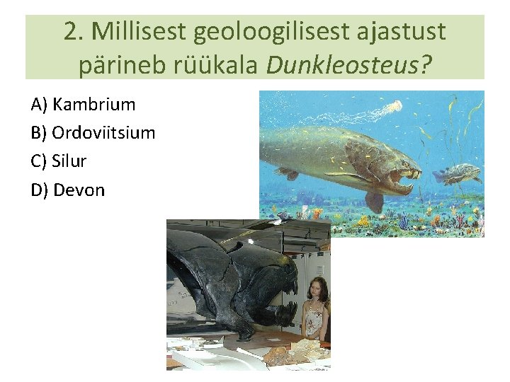 2. Millisest geoloogilisest ajastust pärineb rüükala Dunkleosteus? A) Kambrium B) Ordoviitsium C) Silur D)