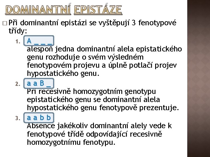 DOMINANTNÍ EPISTÁZE � Při dominantní epistázi se vyštěpují 3 fenotypové třídy: 1. A _