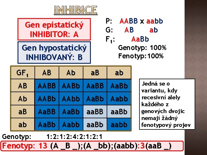 INHIBICE P: AABB x aabb G: AB ab F 1: Aa. Bb Gen epistatický