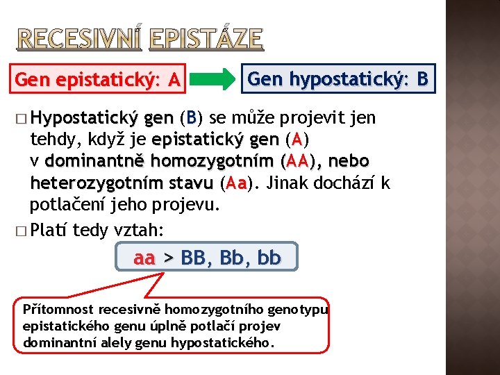 RECESIVNÍ EPISTÁZE Gen epistatický: A Gen hypostatický: B � Hypostatický gen (B) se může
