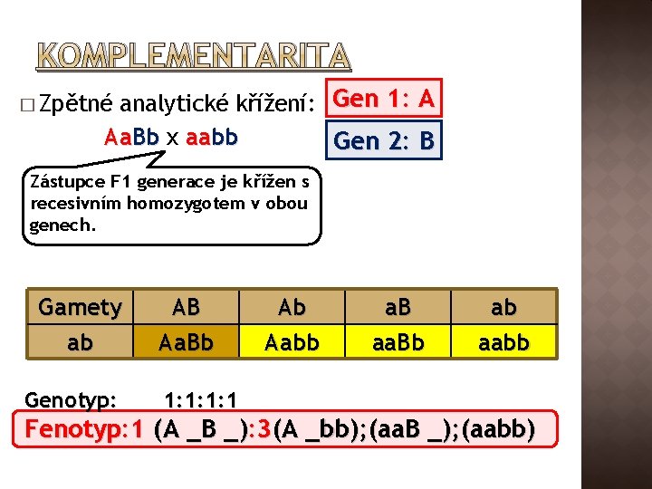 KOMPLEMENTARITA analytické křížení: Gen 1: A Aa. Bb x aabb Gen 2: B �