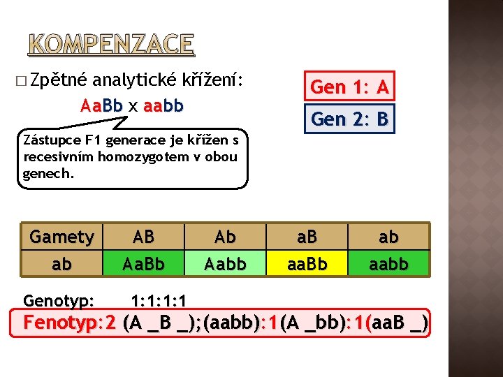 KOMPENZACE � Zpětné analytické křížení: Aa. Bb x aabb Gen 1: A Gen 2: