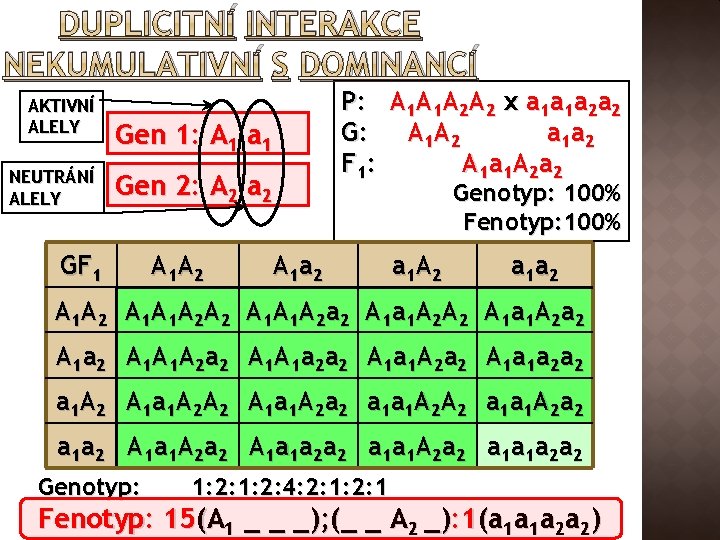 DUPLICITNÍ INTERAKCE NEKUMULATIVNÍ S DOMINANCÍ AKTIVNÍ ALELY NEUTRÁNÍ ALELY Gen 1: A 1 a