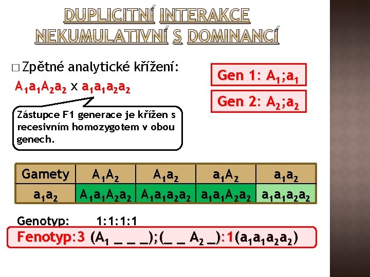 DUPLICITNÍ INTERAKCE NEKUMULATIVNÍ S DOMINANCÍ � Zpětné analytické křížení: A 1 a 1 A