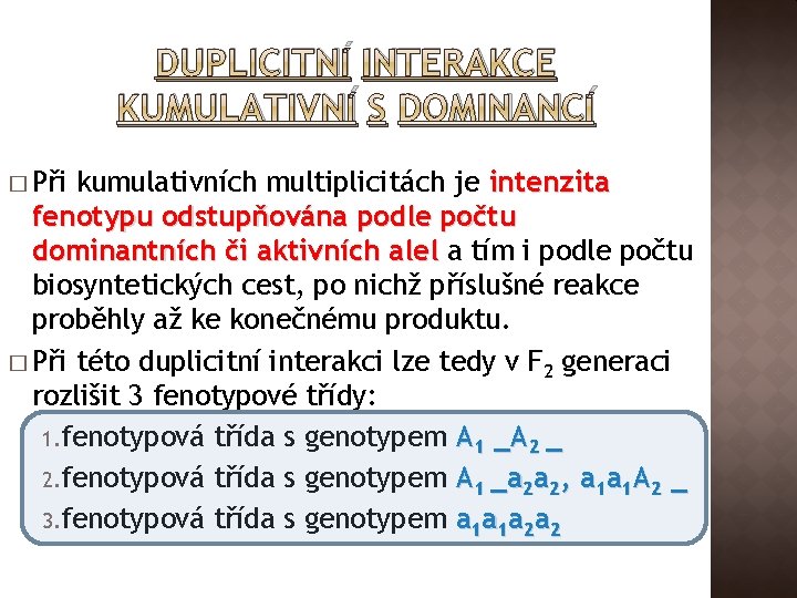 DUPLICITNÍ INTERAKCE KUMULATIVNÍ S DOMINANCÍ � Při kumulativních multiplicitách je intenzita fenotypu odstupňována podle