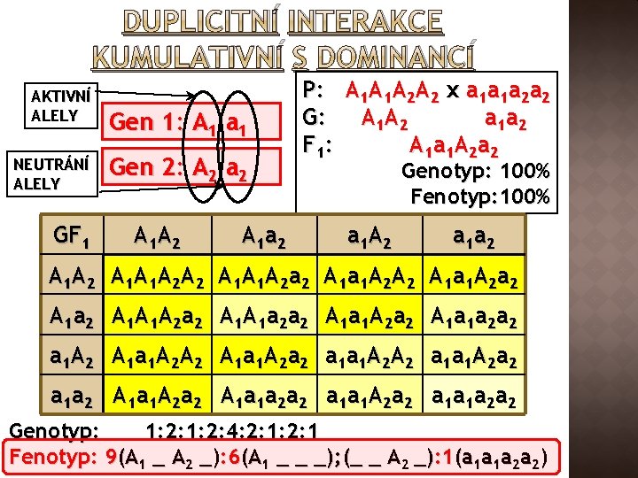 DUPLICITNÍ INTERAKCE KUMULATIVNÍ S DOMINANCÍ AKTIVNÍ ALELY NEUTRÁNÍ ALELY GF 1 Gen 1: A