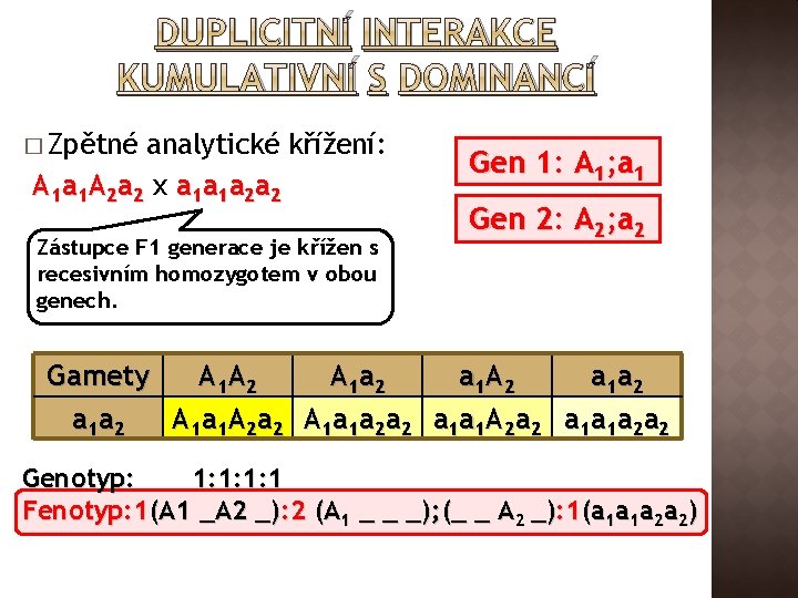 DUPLICITNÍ INTERAKCE KUMULATIVNÍ S DOMINANCÍ � Zpětné analytické křížení: A 1 a 1 A