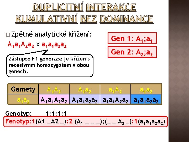 DUPLICITNÍ INTERAKCE KUMULATIVNÍ BEZ DOMINANCE � Zpětné analytické křížení: A 1 a 1 A