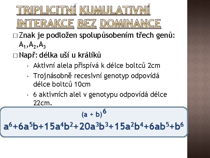TRIPLICITNÍ KUMULATIVNÍ INTERAKCE BEZ DOMINANCE � Znak je podložen spolupůsobením třech genů: A 1,