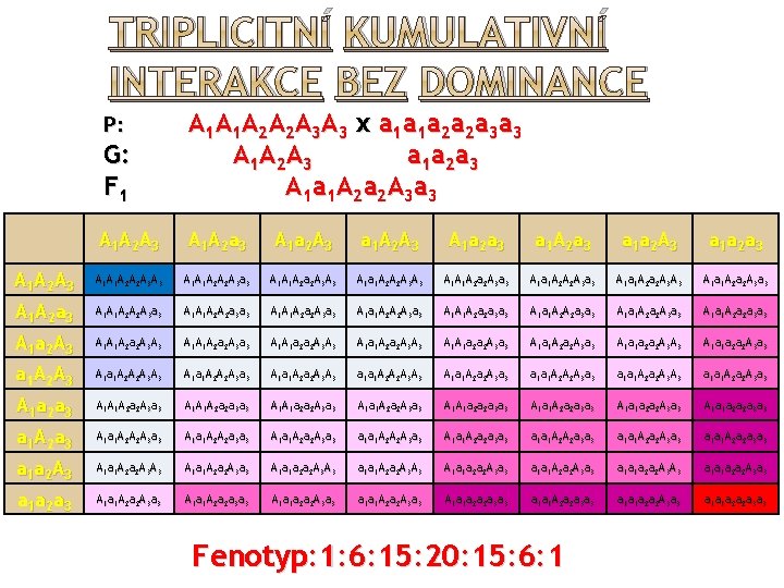 TRIPLICITNÍ KUMULATIVNÍ INTERAKCE BEZ DOMINANCE G: F 1 A 1 A 2 A 3