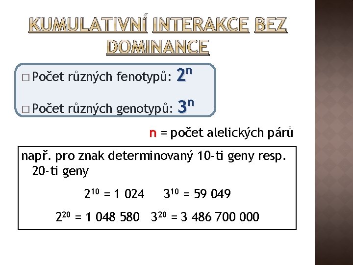 KUMULATIVNÍ INTERAKCE BEZ DOMINANCE � Počet různých fenotypů: různých genotypů: n 2 n 3