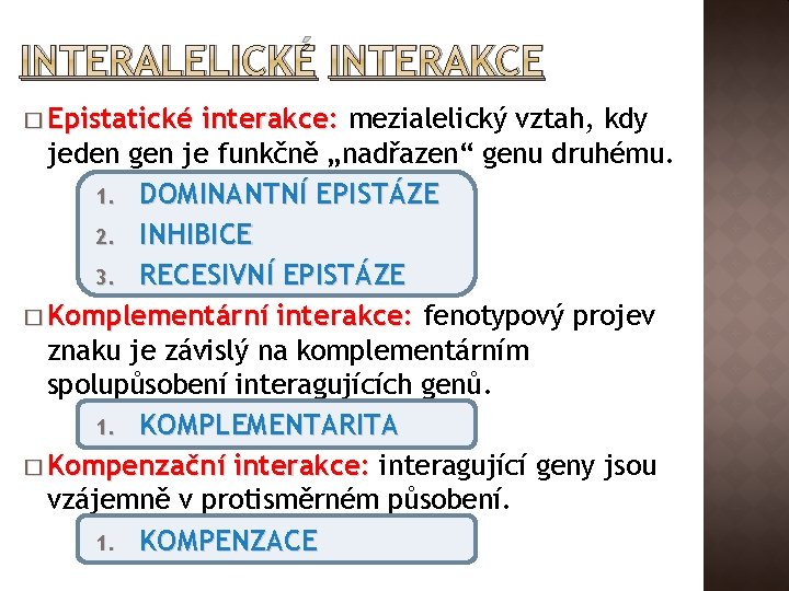 INTERALELICKÉ INTERAKCE � Epistatické interakce: mezialelický vztah, kdy jeden gen je funkčně „nadřazen“ genu