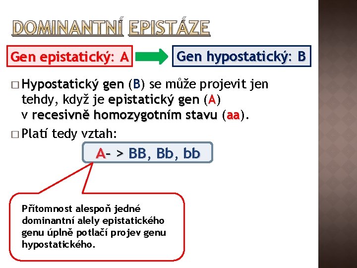 DOMINANTNÍ EPISTÁZE Gen epistatický: A Gen hypostatický: B � Hypostatický gen (B) se může