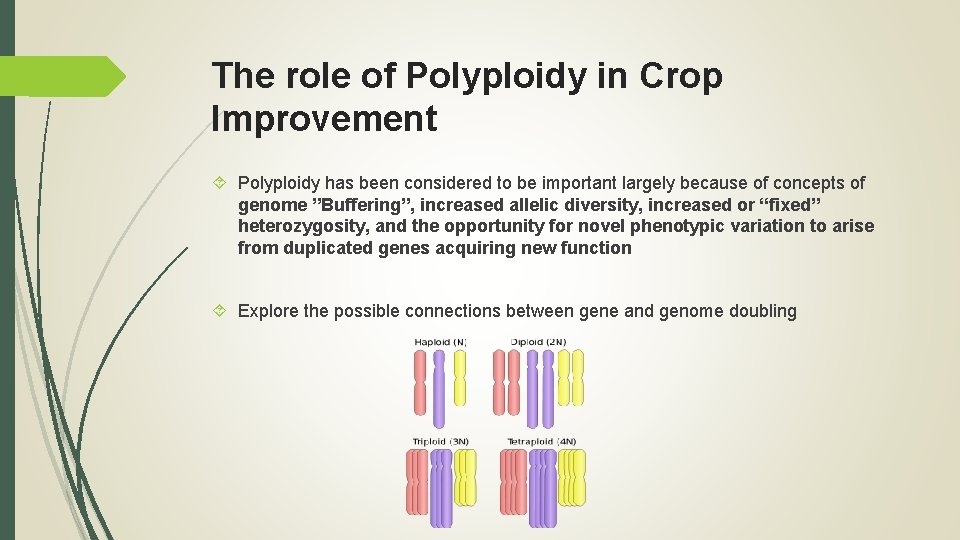 The role of Polyploidy in Crop Improvement Polyploidy has been considered to be important