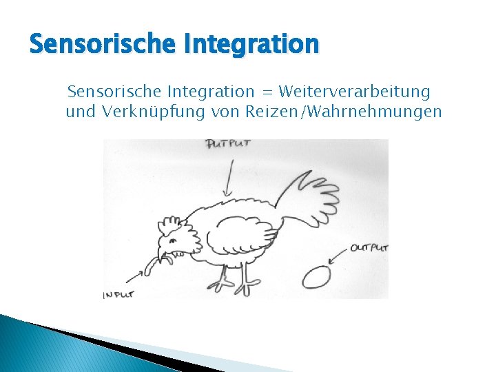 Sensorische Integration = Weiterverarbeitung und Verknüpfung von Reizen/Wahrnehmungen 
