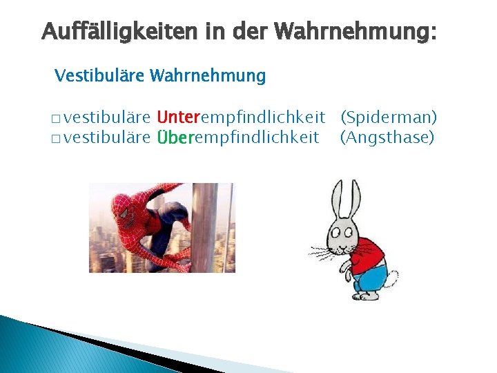 Auffälligkeiten in der Wahrnehmung: Vestibuläre Wahrnehmung � vestibuläre Unterempfindlichkeit (Spiderman) � vestibuläre Überempfindlichkeit (Angsthase)