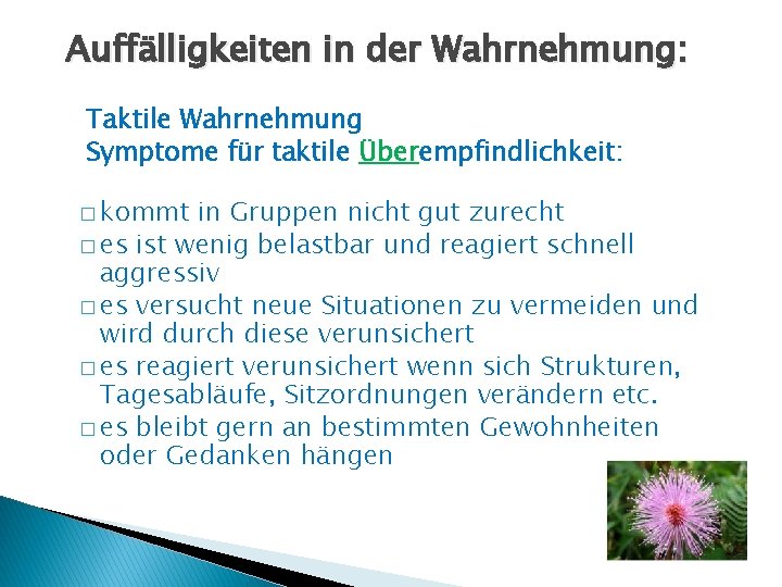 Auffälligkeiten in der Wahrnehmung: Taktile Wahrnehmung Symptome für taktile Überempfindlichkeit: � kommt in Gruppen