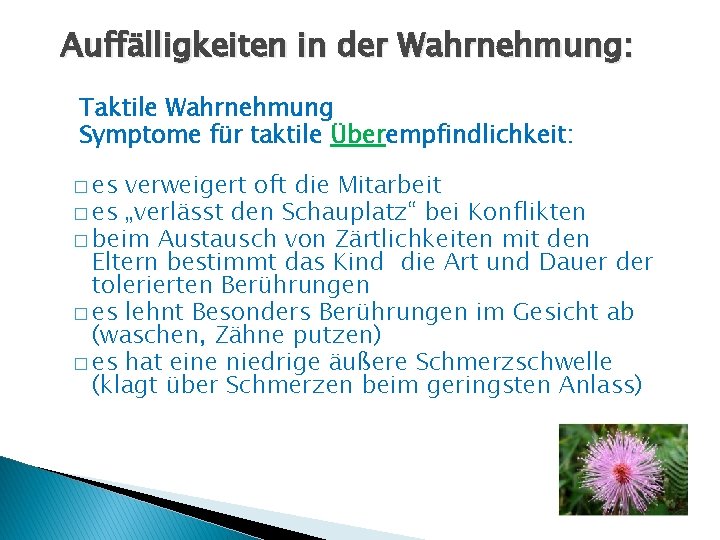 Auffälligkeiten in der Wahrnehmung: Taktile Wahrnehmung Symptome für taktile Überempfindlichkeit: � es verweigert oft