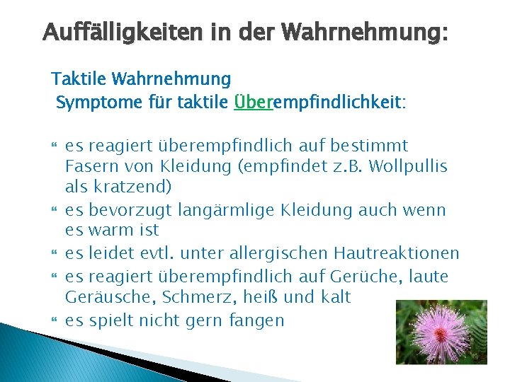 Auffälligkeiten in der Wahrnehmung: Taktile Wahrnehmung Symptome für taktile Überempfindlichkeit: es reagiert überempfindlich auf