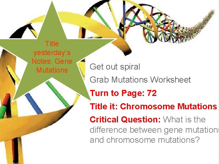 Title yesterday’s Notes: Gene Mutations Get out spiral Grab Mutations Worksheet Turn to Page: