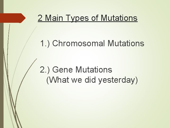 2 Main Types of Mutations 1. ) Chromosomal Mutations 2. ) Gene Mutations (What