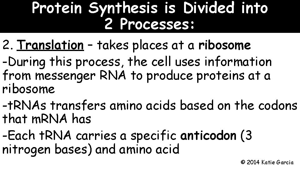 Protein Synthesis is Divided into 2 Processes: 2. Translation – takes places at a