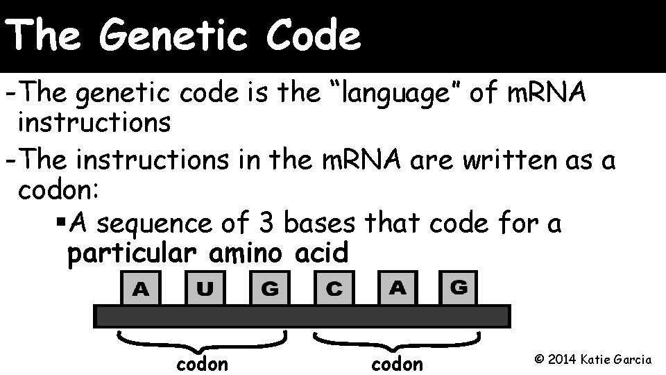 The Genetic Code -The genetic code is the “language” of m. RNA instructions -The