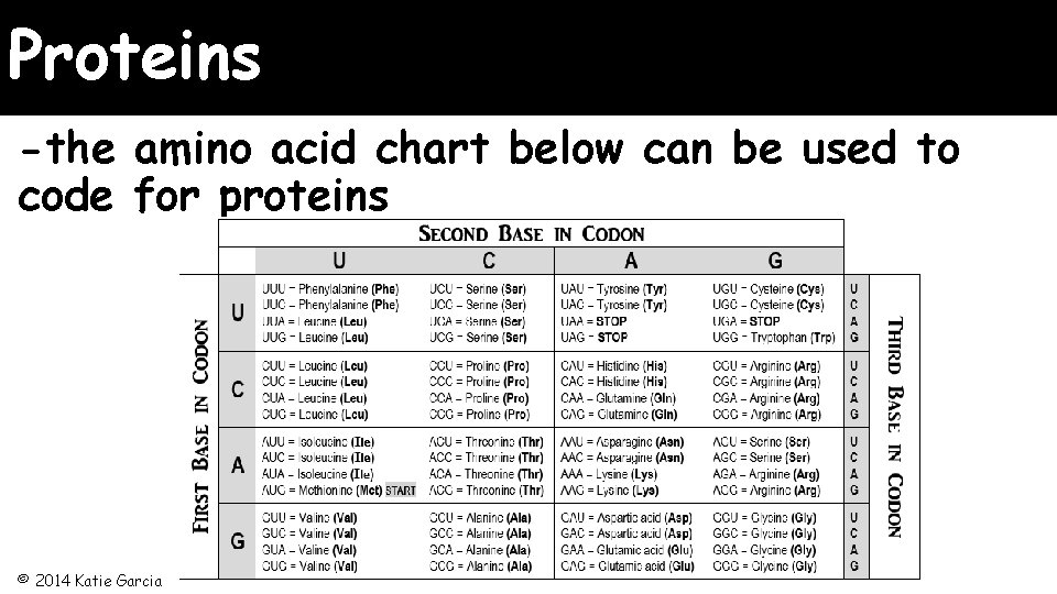 Proteins -the amino acid chart below can be used to code for proteins ©