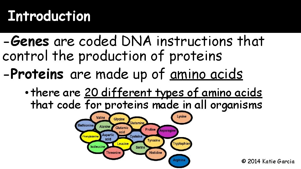 Introduction -Genes are coded DNA instructions that control the production of proteins -Proteins are