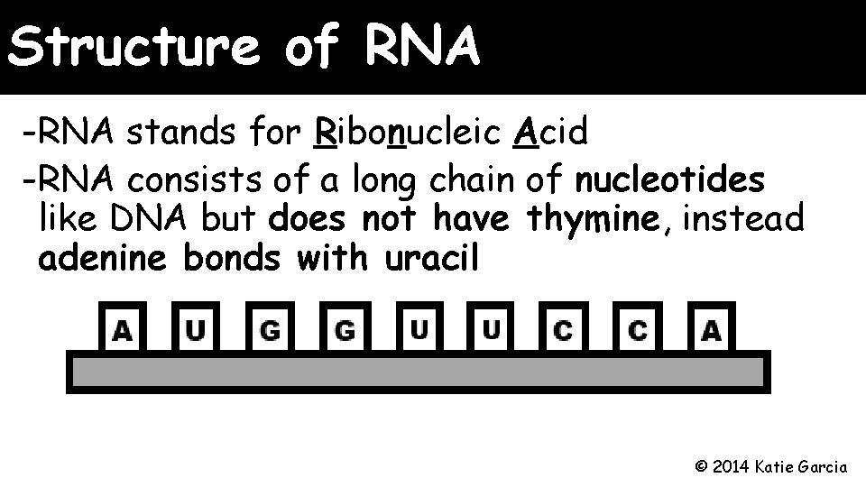 Structure of RNA -RNA stands for Ribonucleic Acid -RNA consists of a long chain