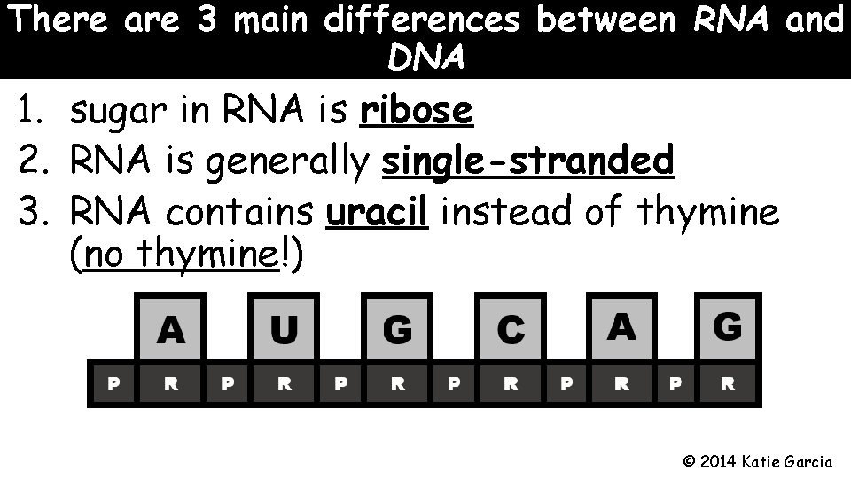 There are 3 main differences between RNA and DNA 1. sugar in RNA is
