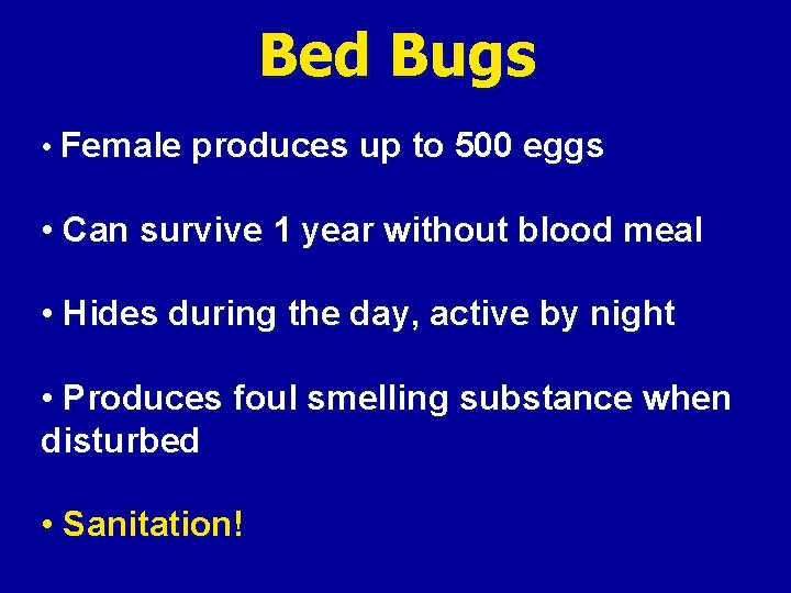 Bed Bugs • Female produces up to 500 eggs • Can survive 1 year