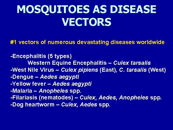 MOSQUITOES AS DISEASE VECTORS #1 vectors of numerous devastating diseases worldwide -Encephalitis (5 types)