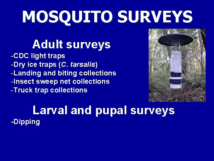 MOSQUITO SURVEYS Adult surveys -CDC light traps -Dry ice traps (C. tarsalis) -Landing and