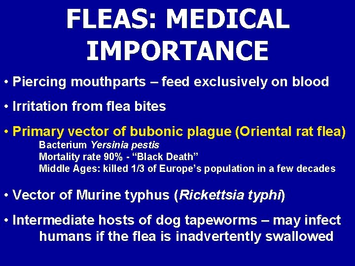 FLEAS: MEDICAL IMPORTANCE • Piercing mouthparts – feed exclusively on blood • Irritation from