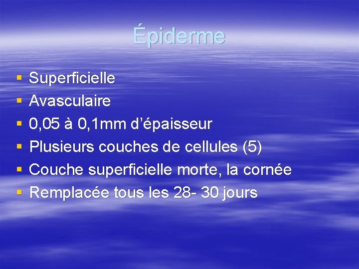 Épiderme § § § Superficielle Avasculaire 0, 05 à 0, 1 mm d’épaisseur Plusieurs
