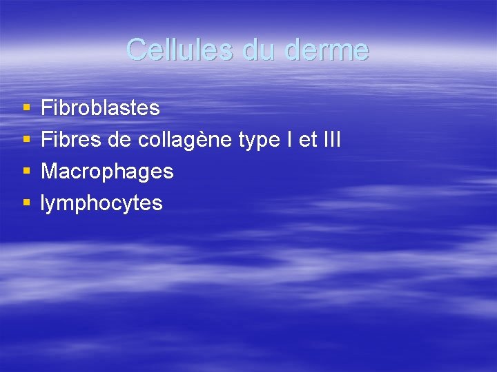 Cellules du derme § § Fibroblastes Fibres de collagène type I et III Macrophages