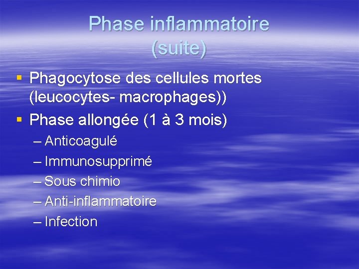 Phase inflammatoire (suite) § Phagocytose des cellules mortes (leucocytes- macrophages)) § Phase allongée (1