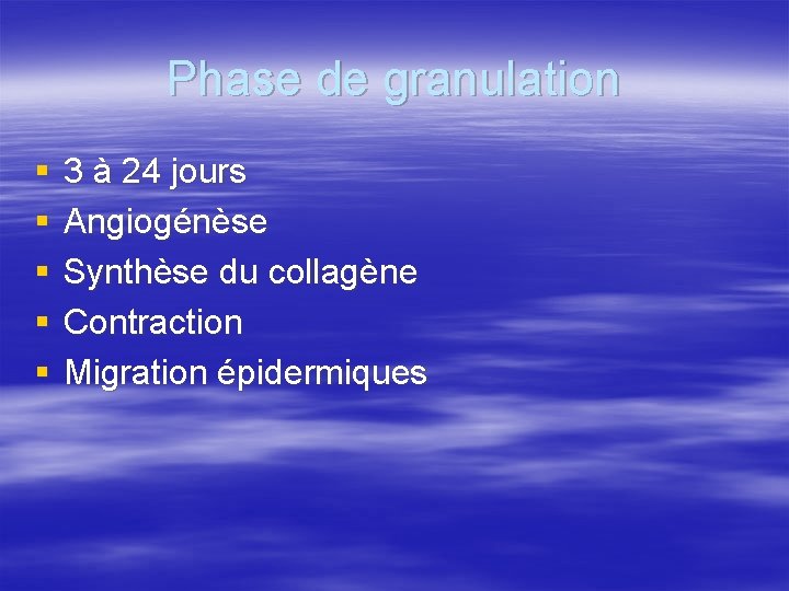 Phase de granulation § § § 3 à 24 jours Angiogénèse Synthèse du collagène