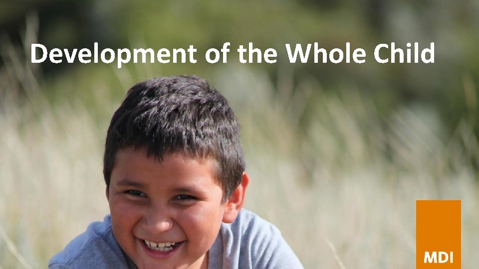 Development of the Whole Child 