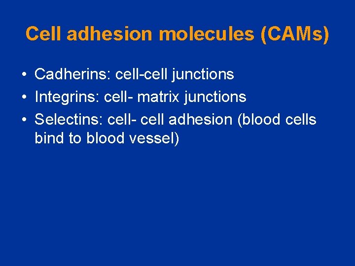 Cell adhesion molecules (CAMs) • Cadherins: cell-cell junctions • Integrins: cell- matrix junctions •
